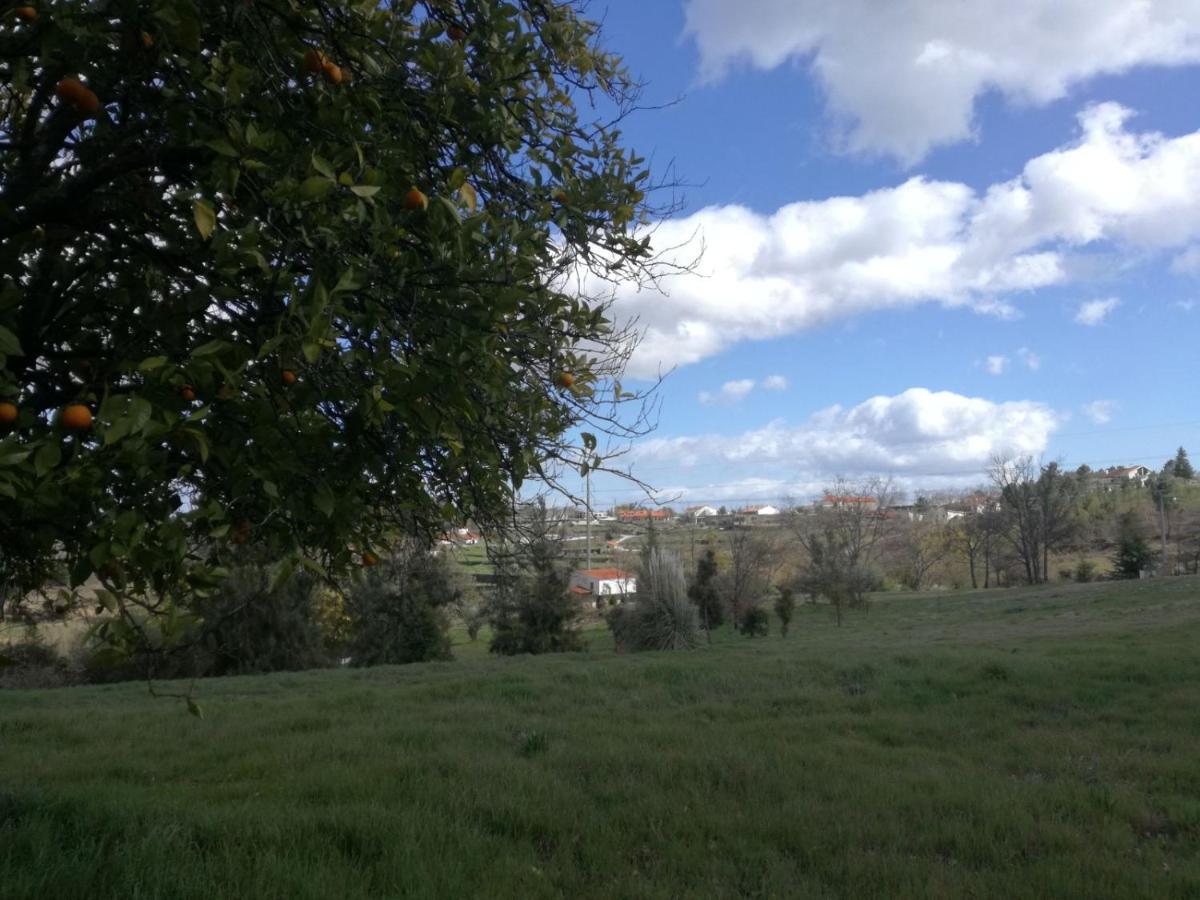 Quinta Rural - Nossa Sra Do Carmo.