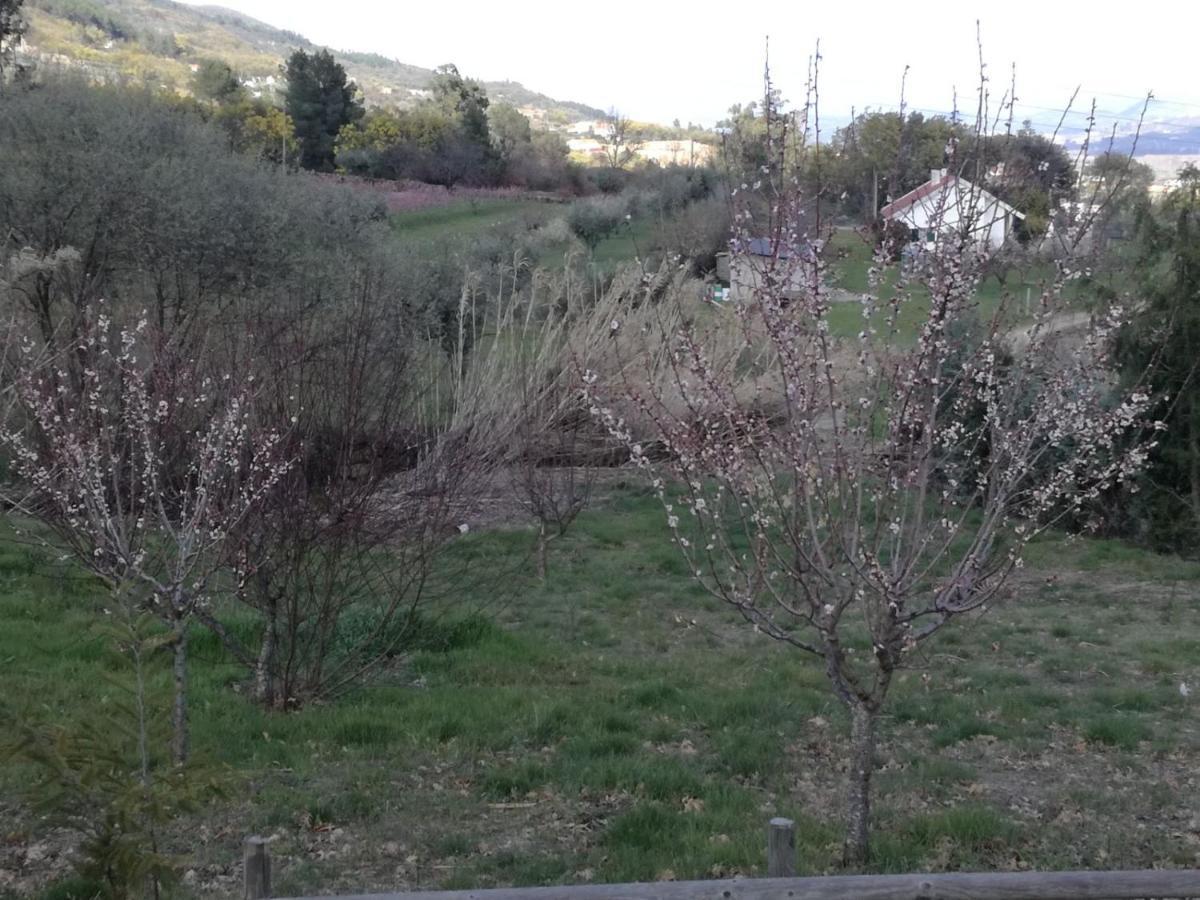 Quinta Rural - Nossa Sra Do Carmo. Holiday home